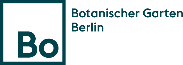 Bo Logo