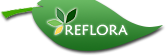 Flora do Brasil - lista de espécies (RB) Flora do Brasil - lista de espécies (RB)